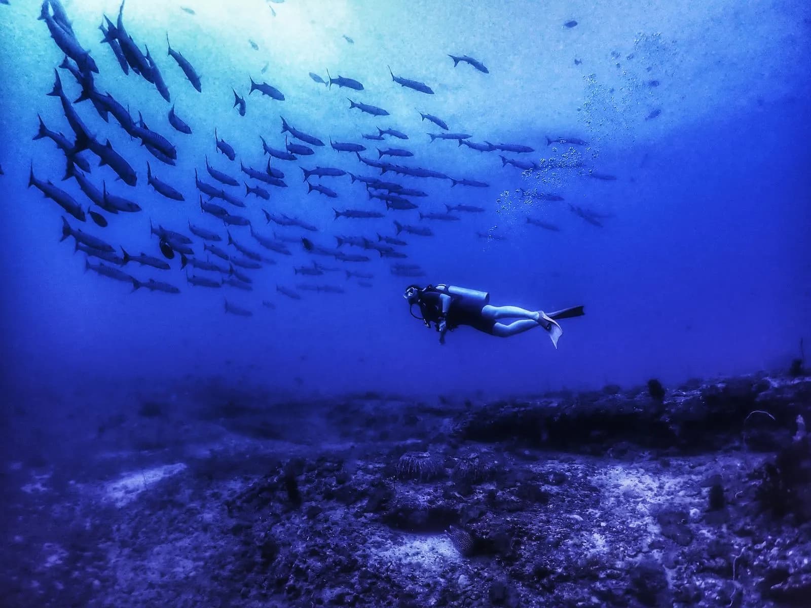 SSI Advanced Open Water Diamond — premium boat specialty dives