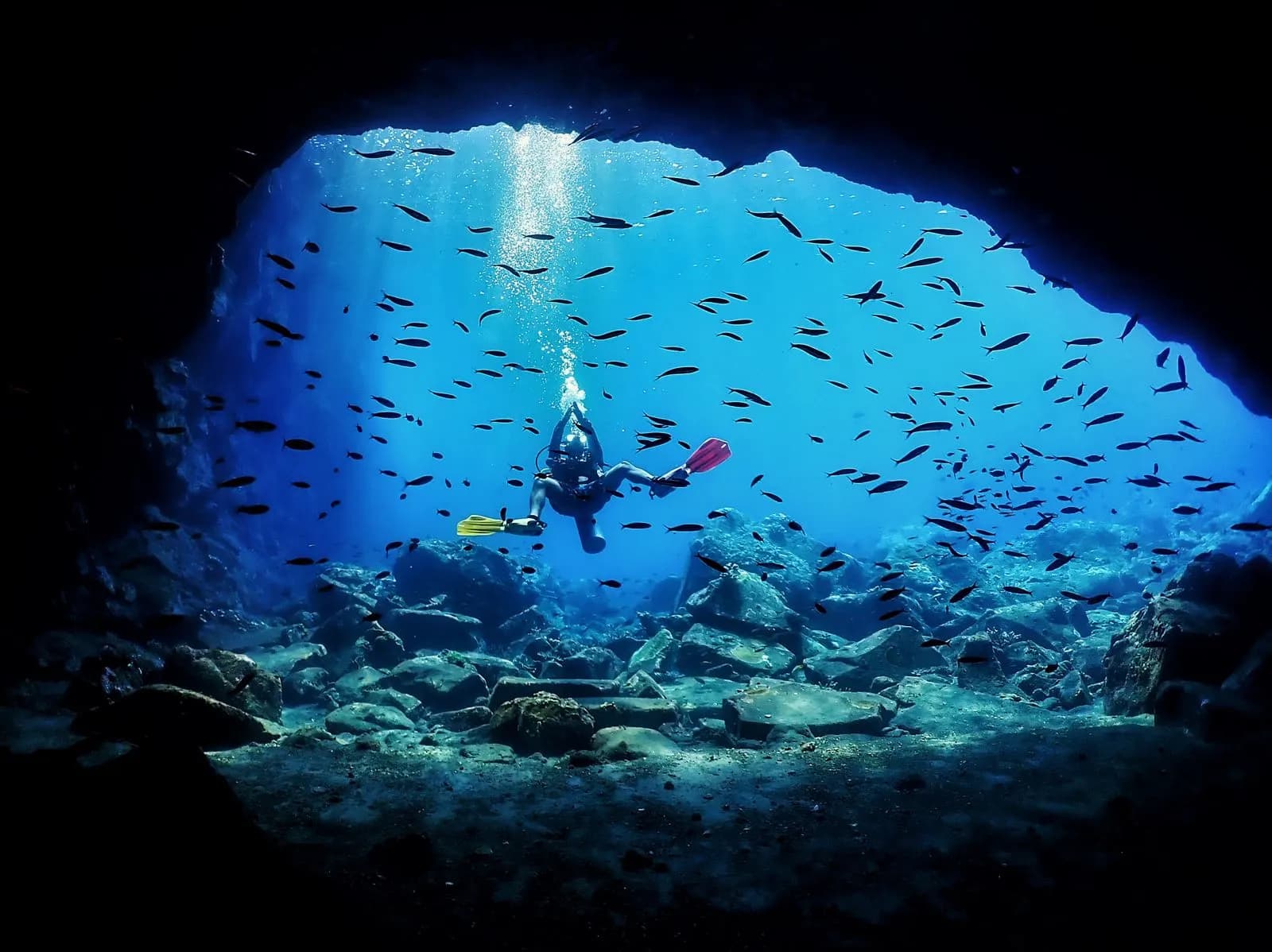 Diver silhouetted in an underwater cavern opening filled with schooling fish