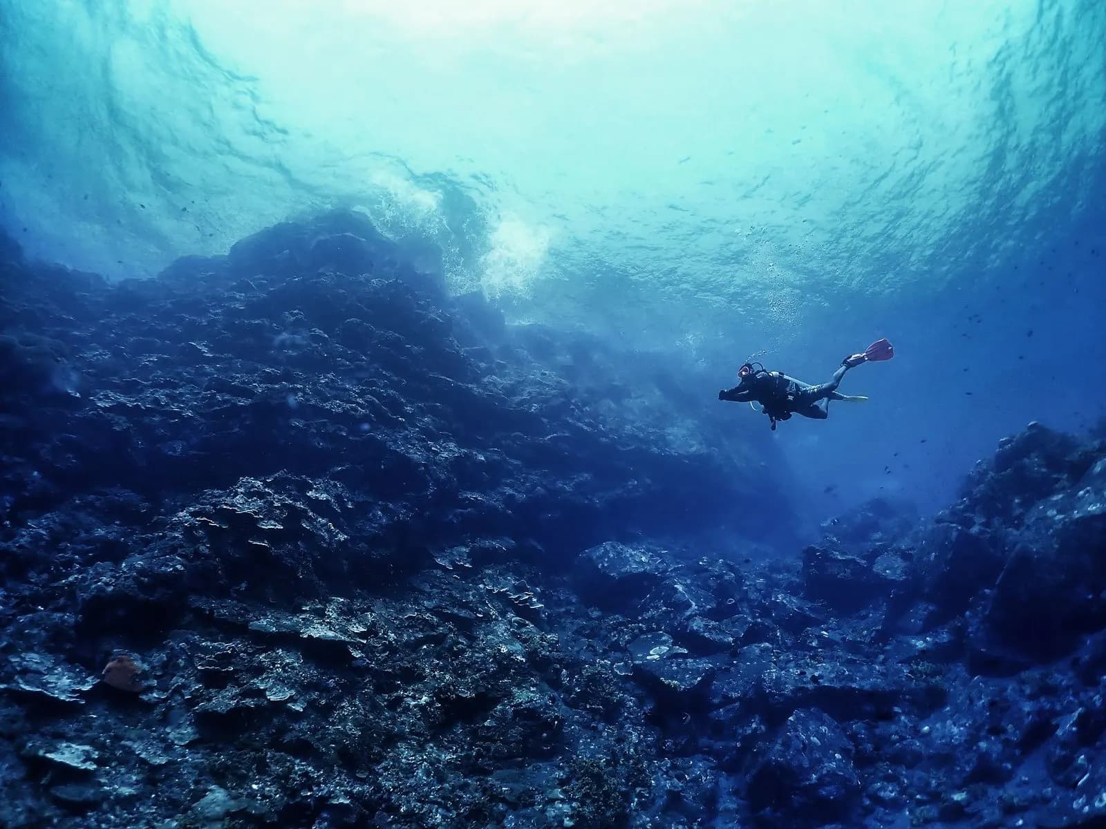 Diver with red fins swimming along a towering deep reef wall toward sunlit surface