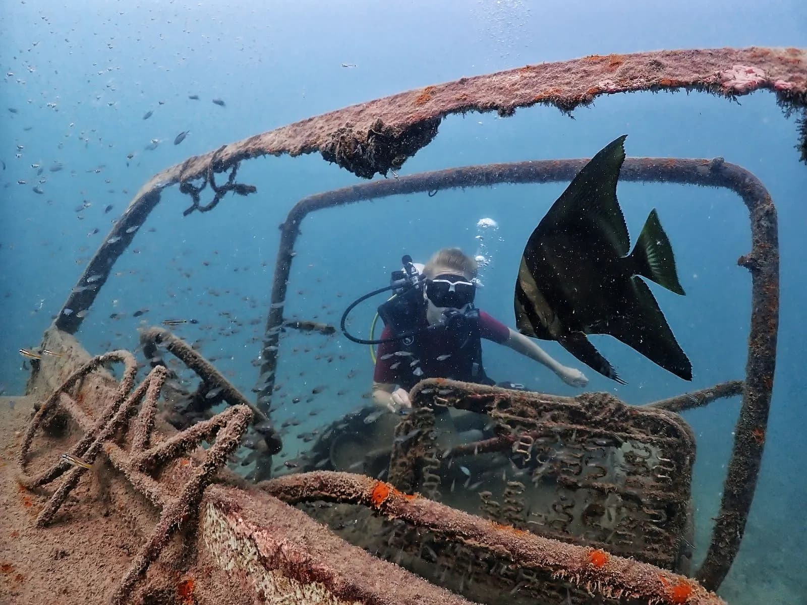 Diver posing inside a sunken vehicle wreck with a batfish nearby — Continental Scuba wreck specialty