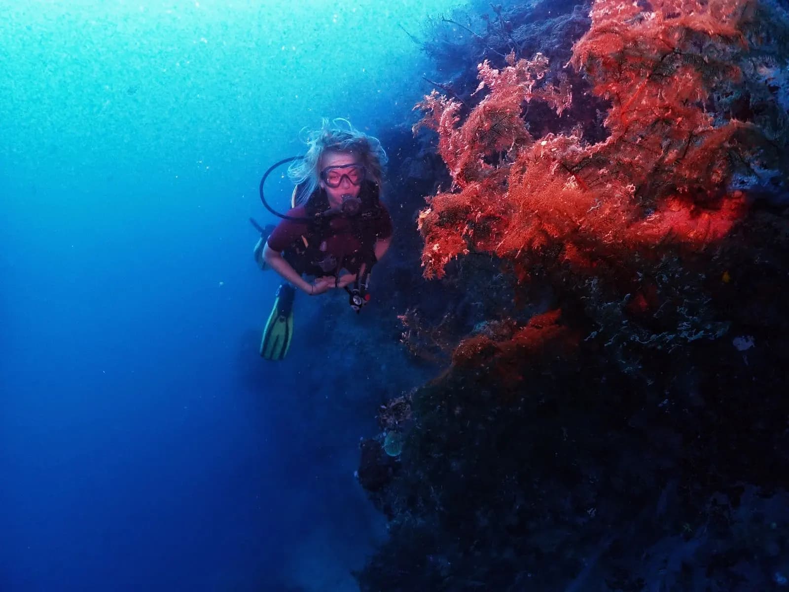 Scuba diver hovering beside a bright sea fan coral in Havelock — first-timers welcome, no swim certificate needed