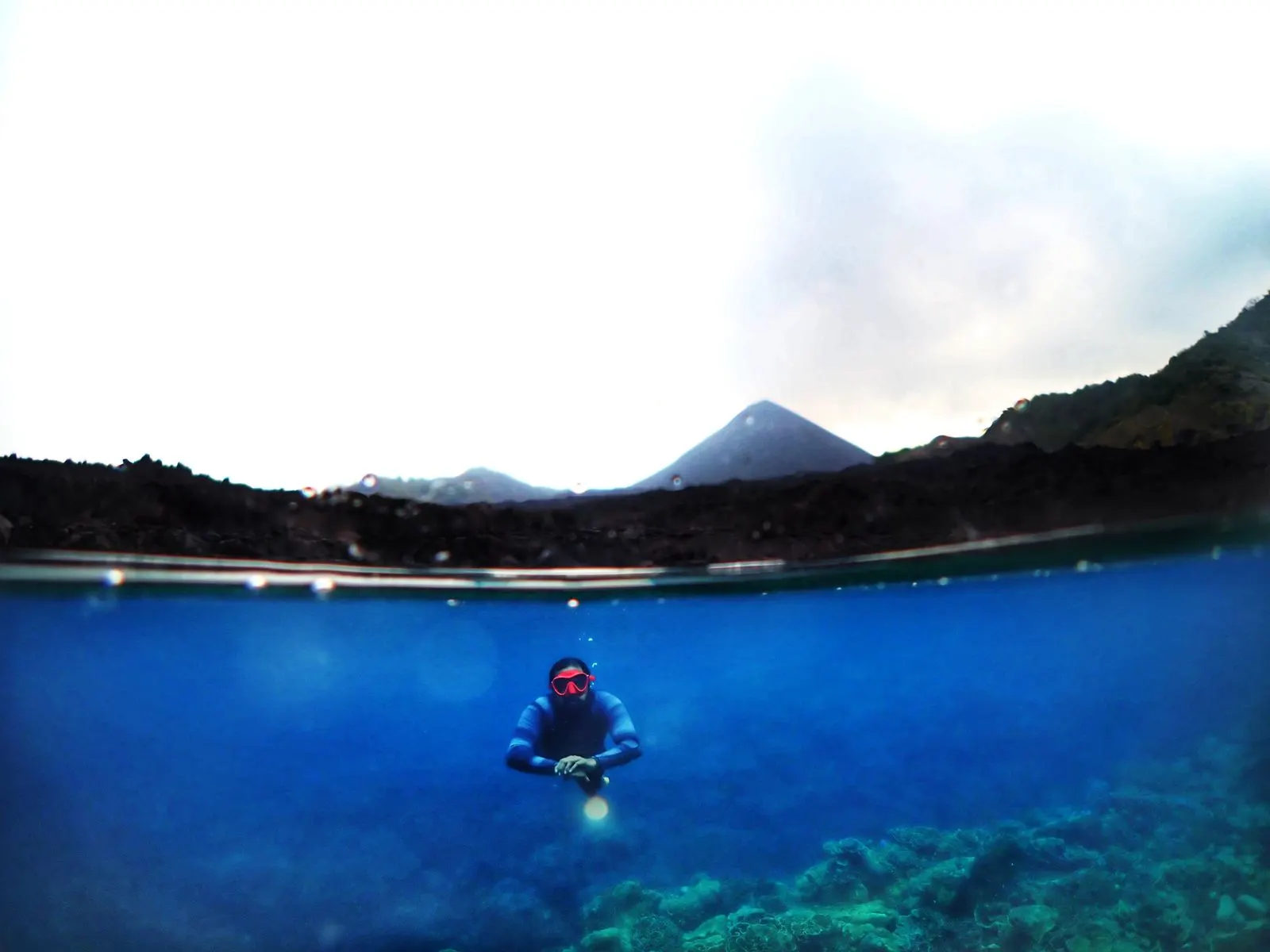 Fun dive at a nearby Havelock reef