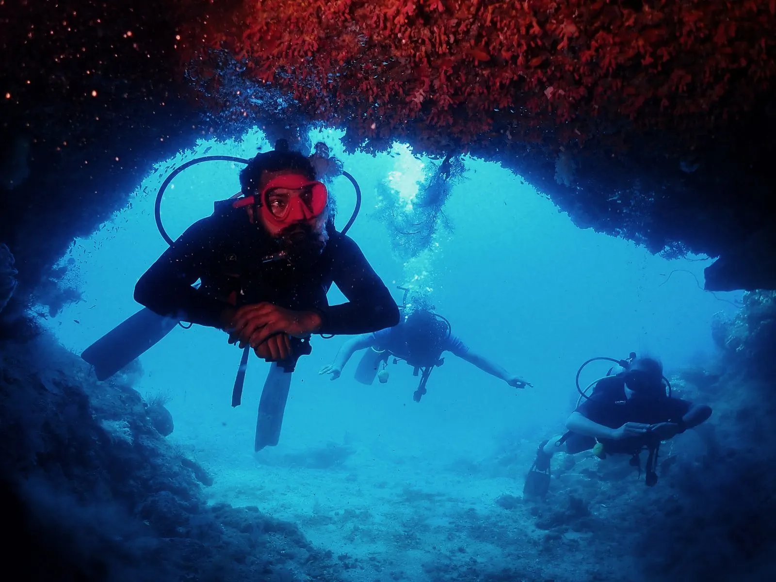Night dive outing with Continental Scuba