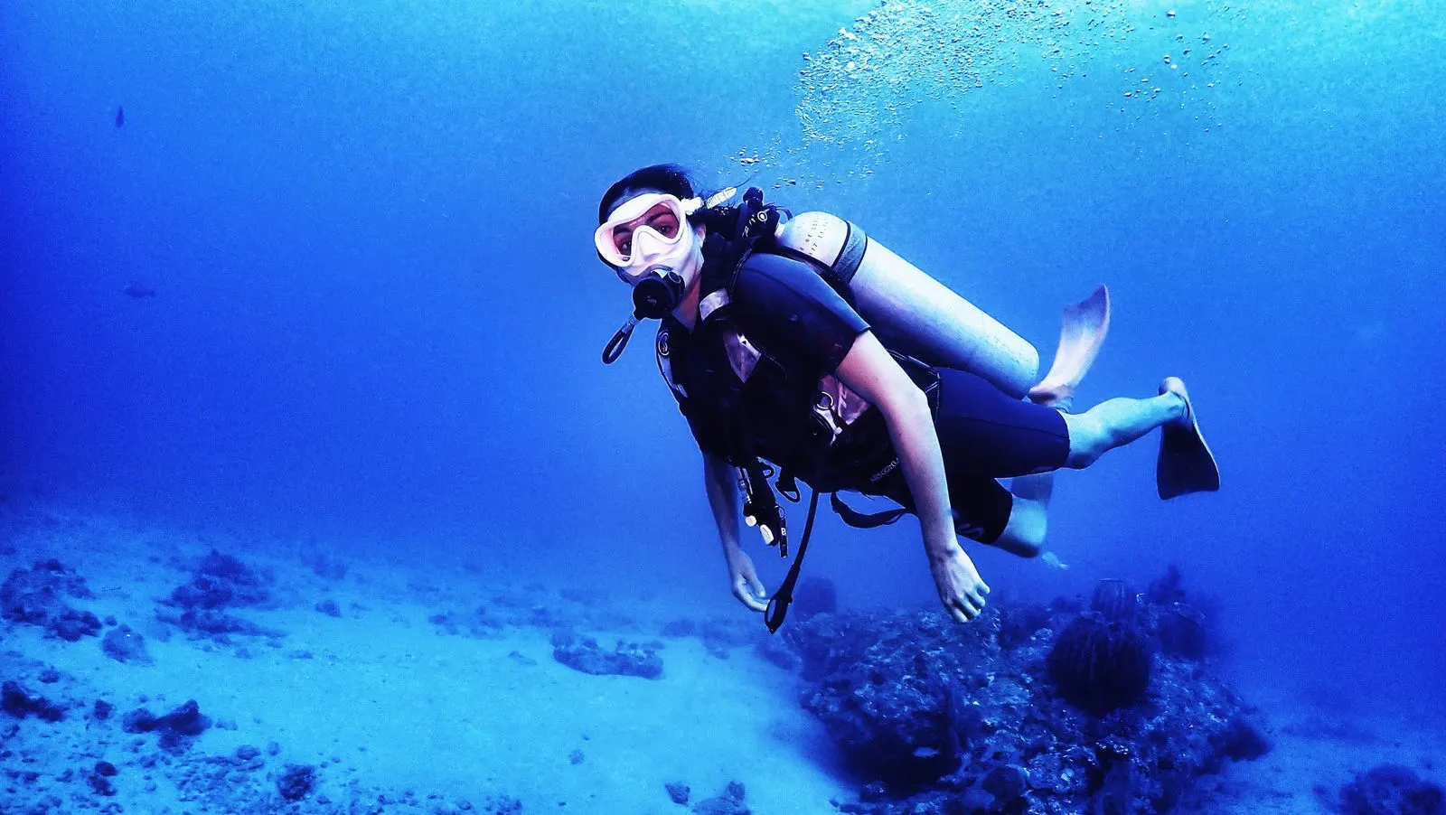SSI Open Water Platinum course boat dives