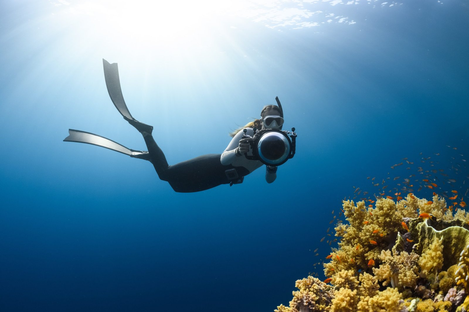 You are currently viewing Scuba Diving in Andaman: A Thrilling Experience for Non-Swimmers